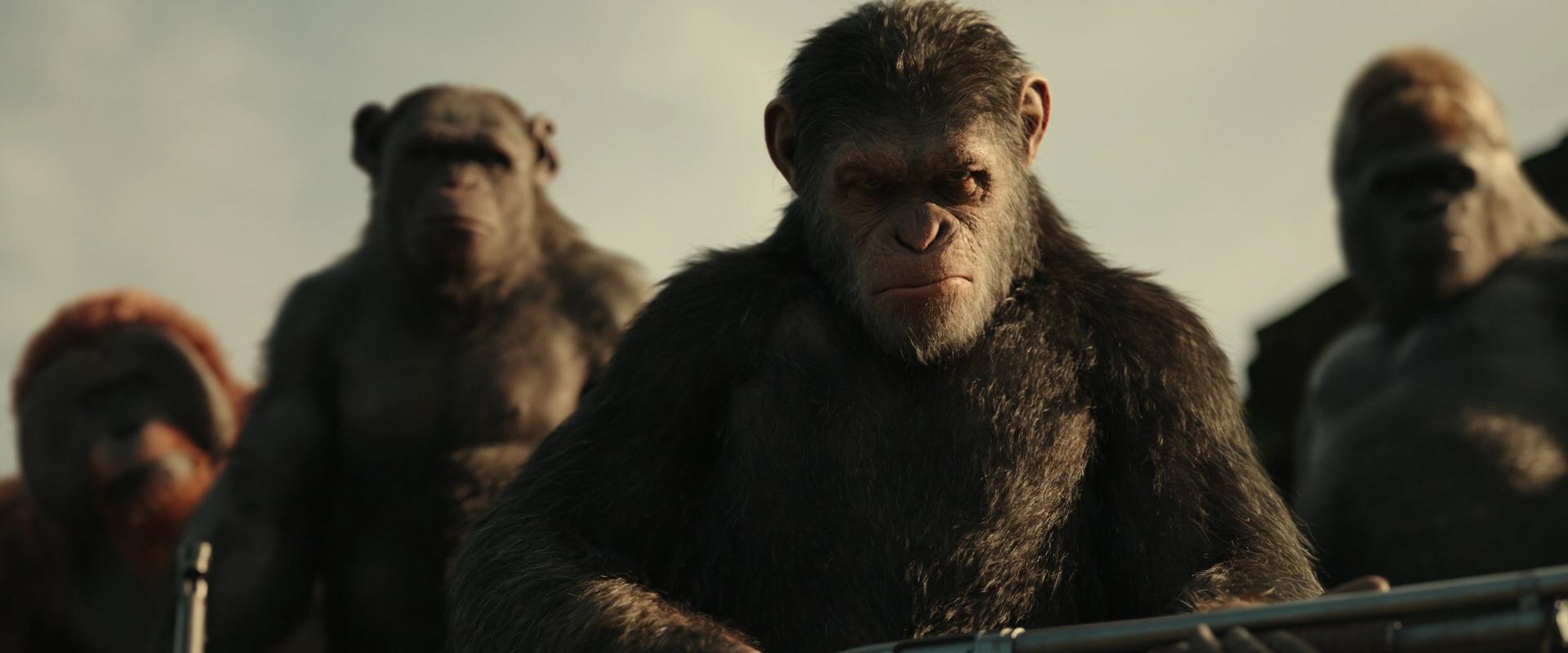 War for the Planet of the Apes (2017) movie still 3358