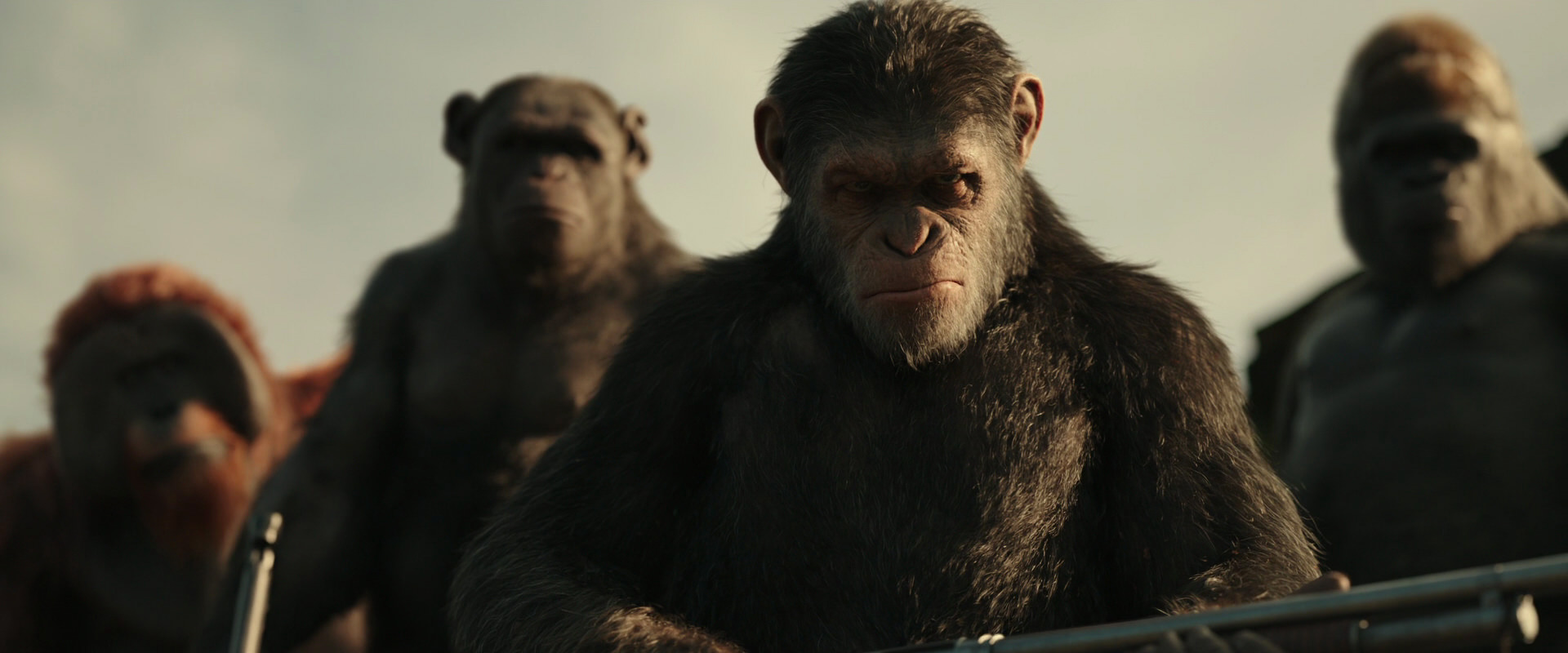 War for the Planet of the Apes (2017) HD screenshot 3359