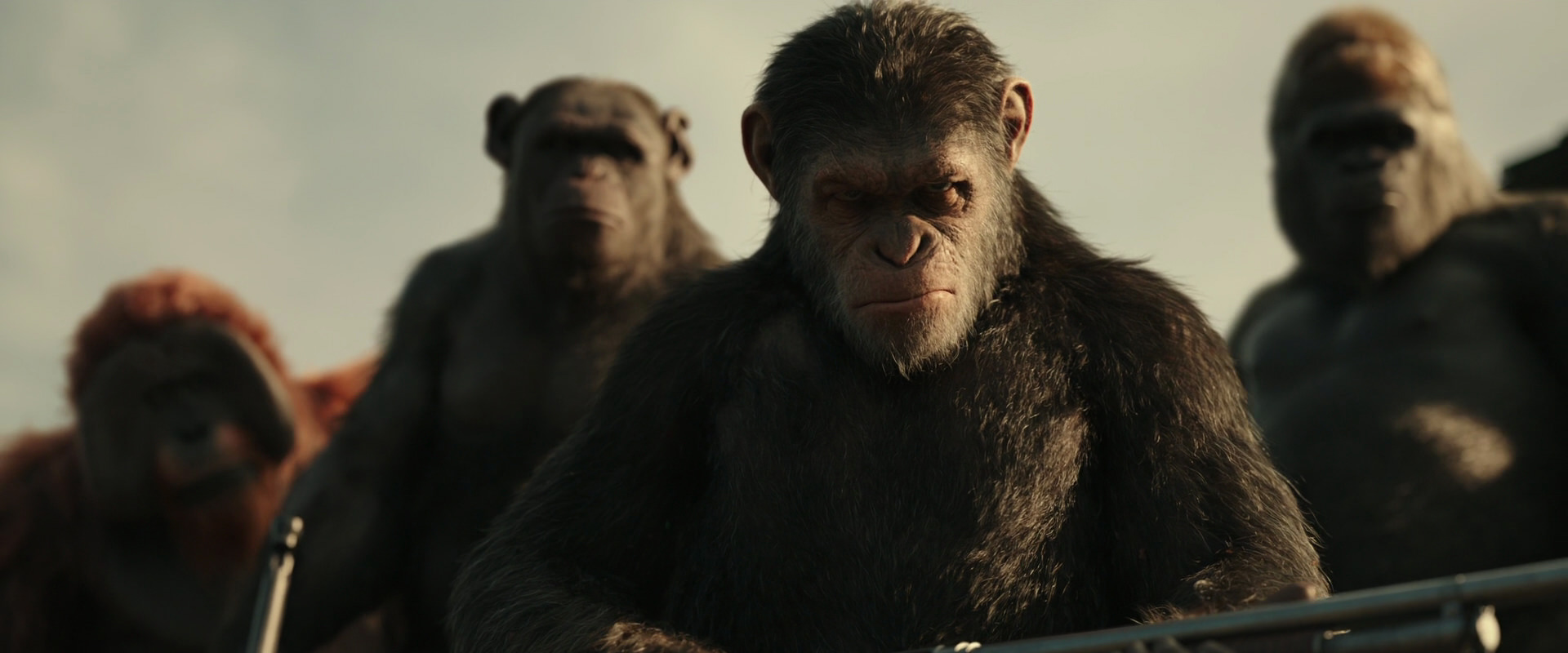 War for the Planet of the Apes (2017) screencap 3360