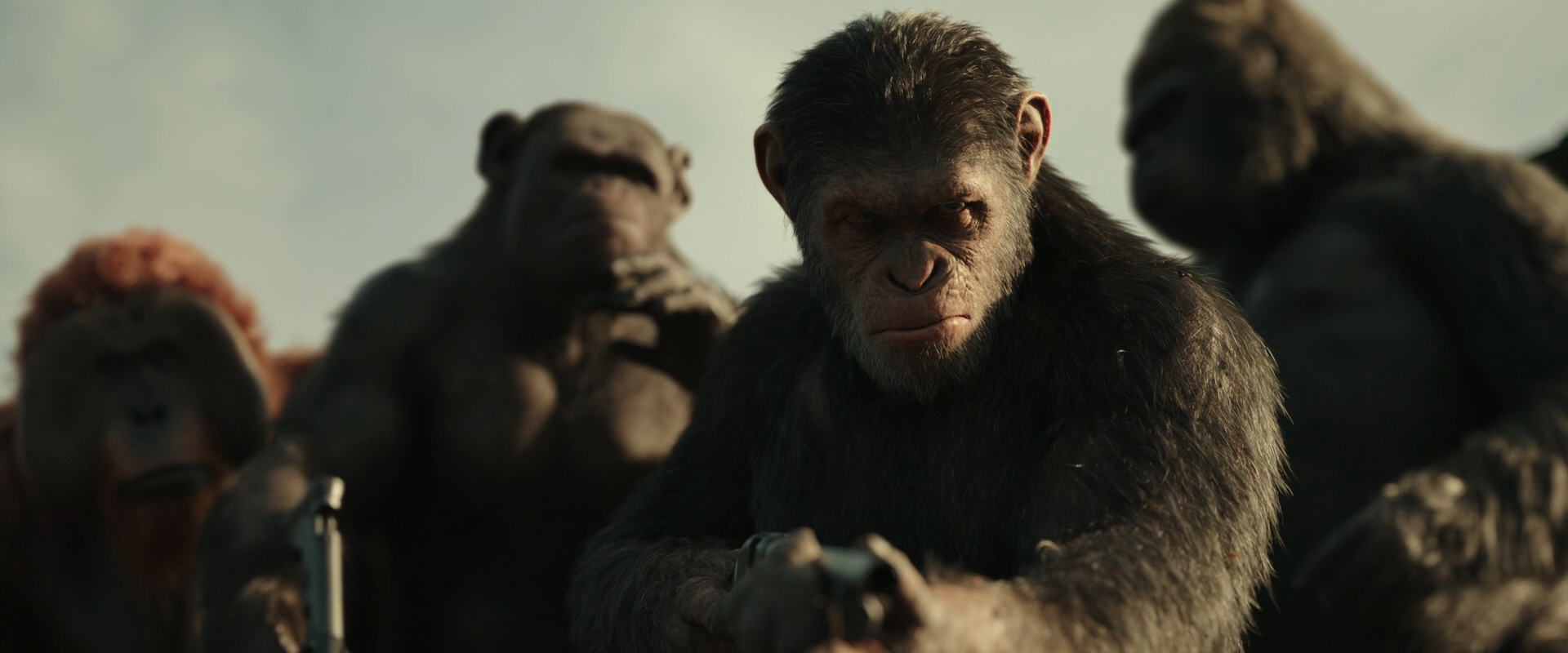War for the Planet of the Apes (2017) movie still 3376