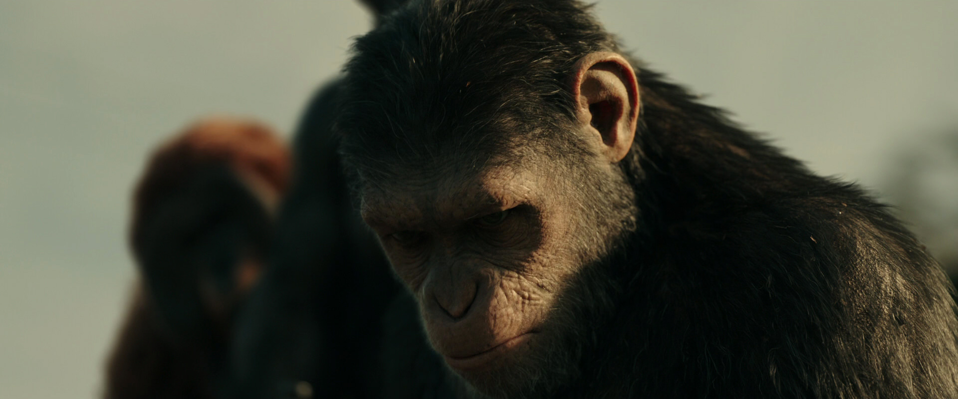 War for the Planet of the Apes (2017) movie still 3379