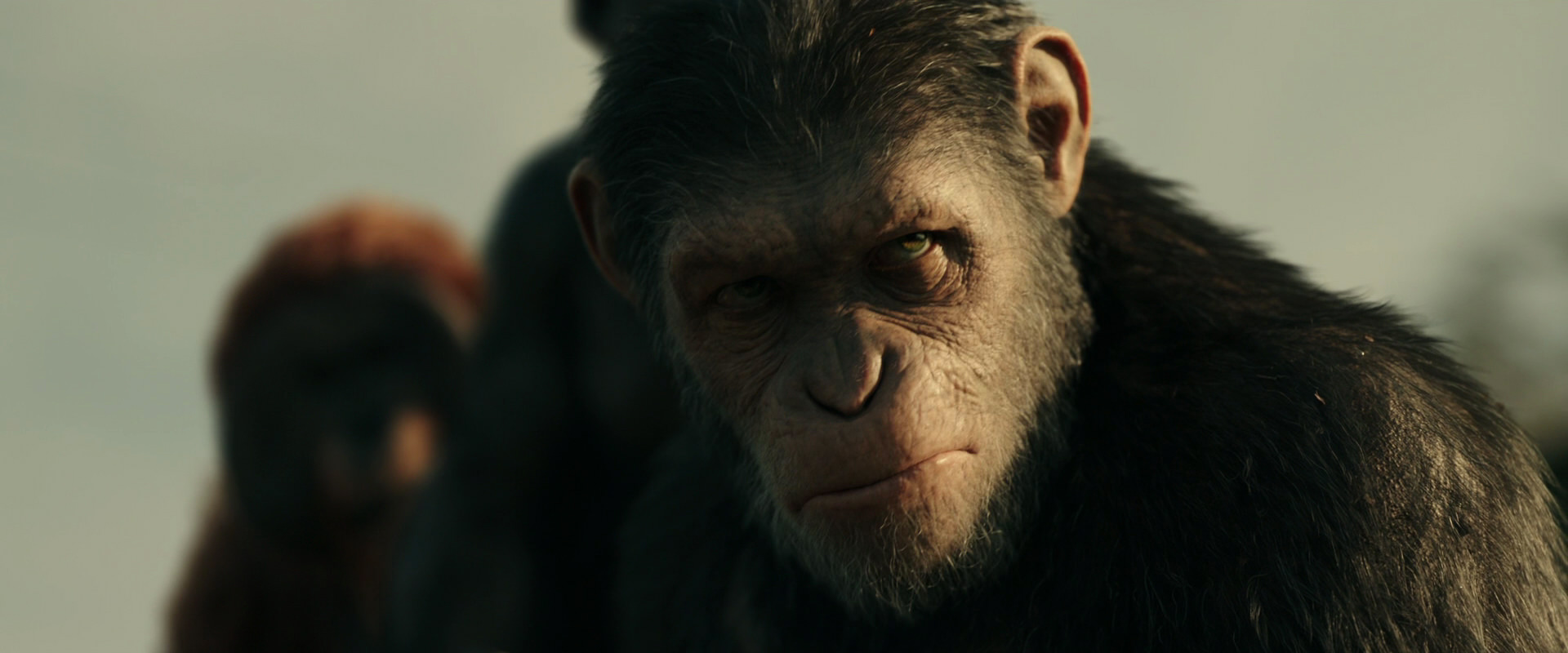 War for the Planet of the Apes (2017) HD screenshot 3380