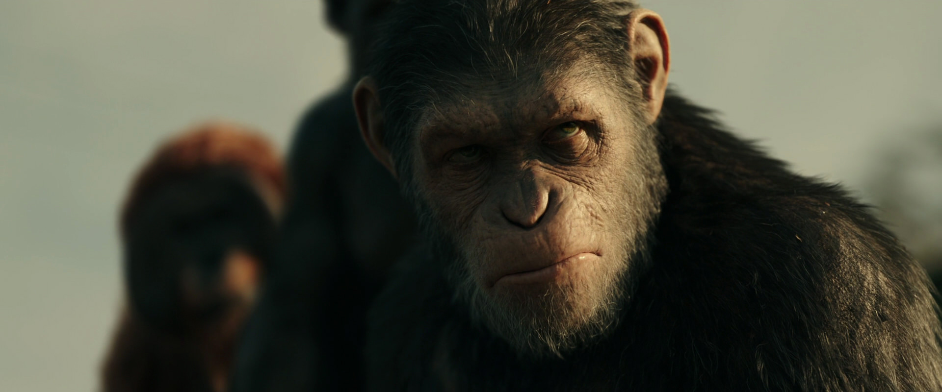 War for the Planet of the Apes (2017) screencap 3381