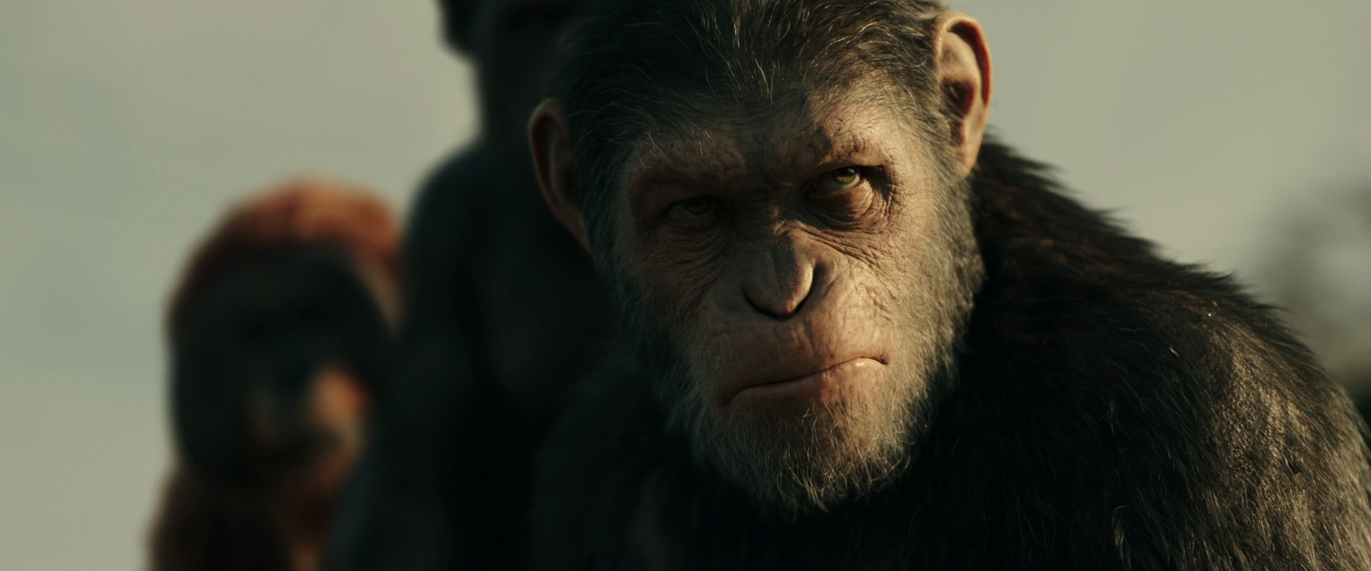 War for the Planet of the Apes (2017) movie still 3382