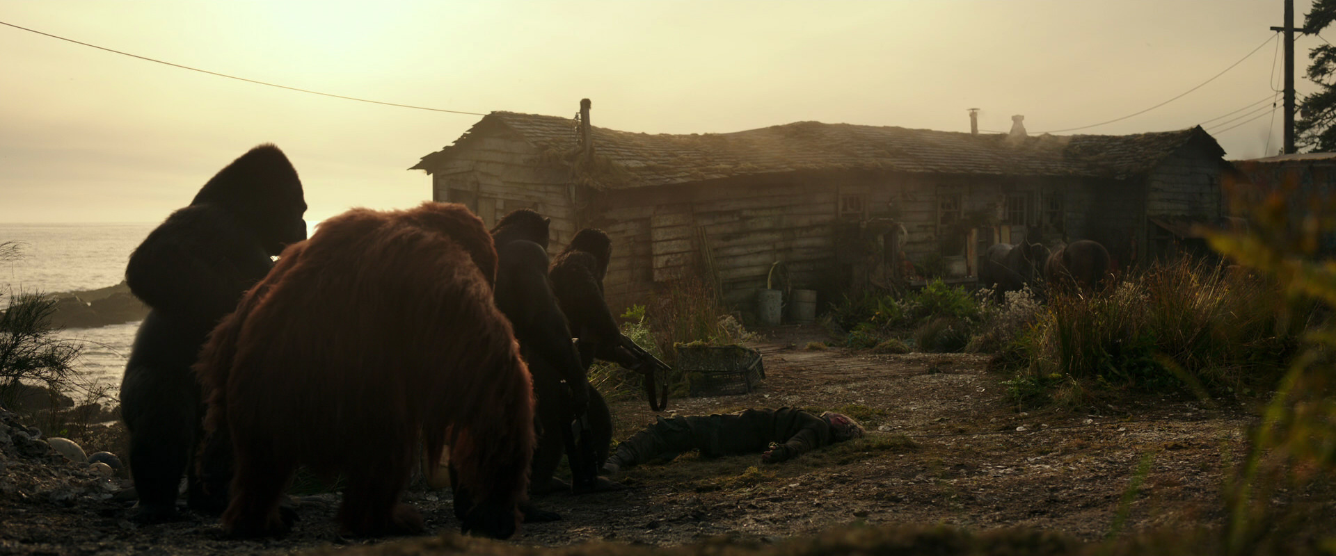 War for the Planet of the Apes (2017) HD screenshot 3383
