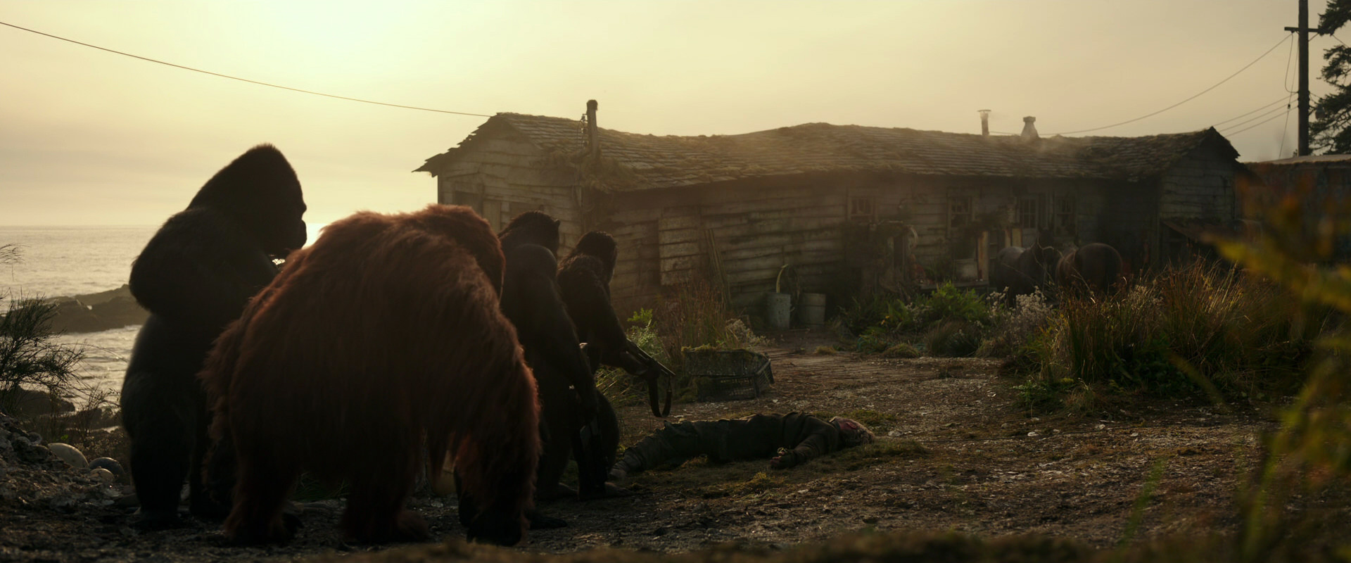 War for the Planet of the Apes (2017) screencap 3384