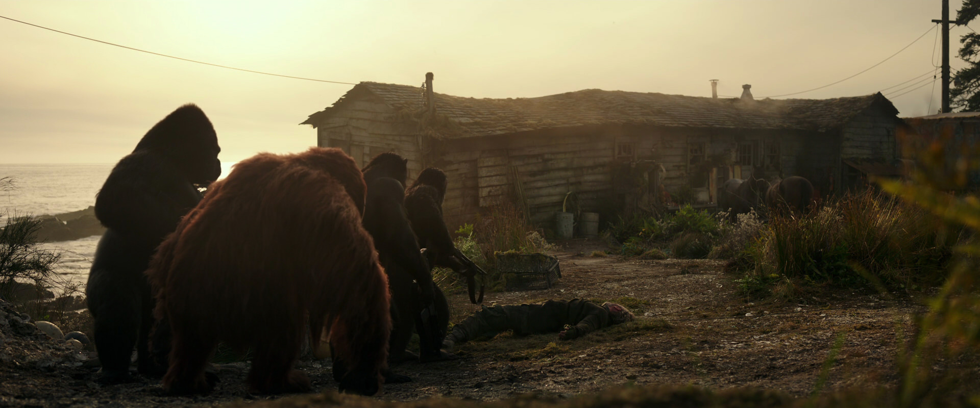 War for the Planet of the Apes (2017) movie still 3385