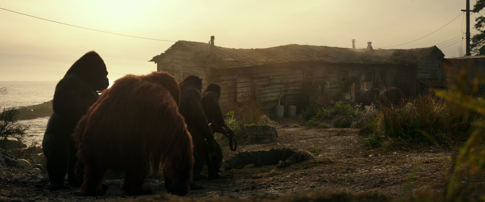 War for the Planet of the Apes (2017) screencap 3387