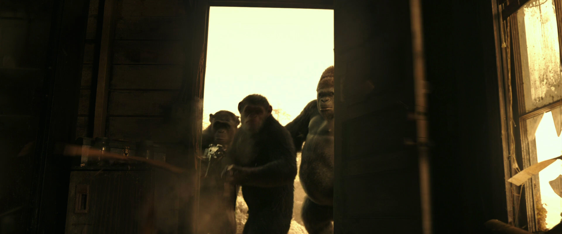 War for the Planet of the Apes (2017) HD screenshot 3389