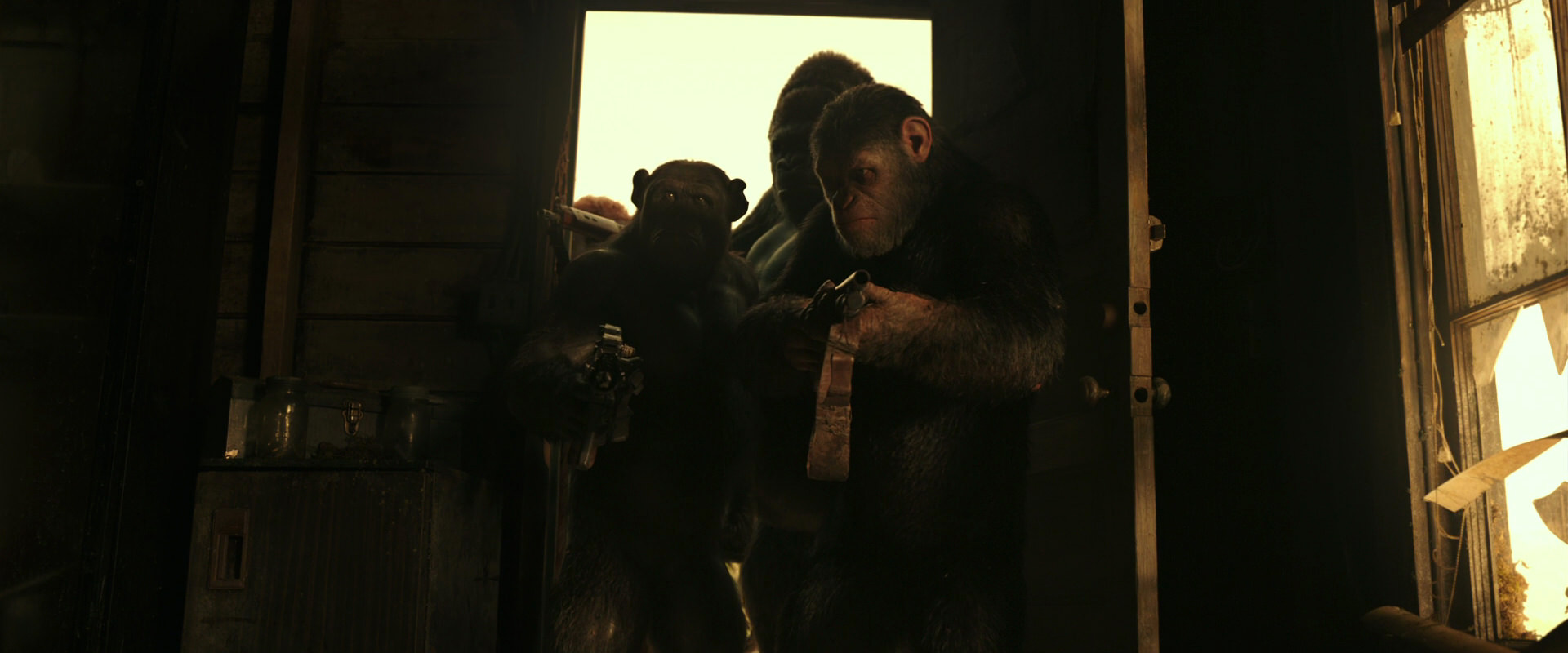 War for the Planet of the Apes (2017) screencap 3399