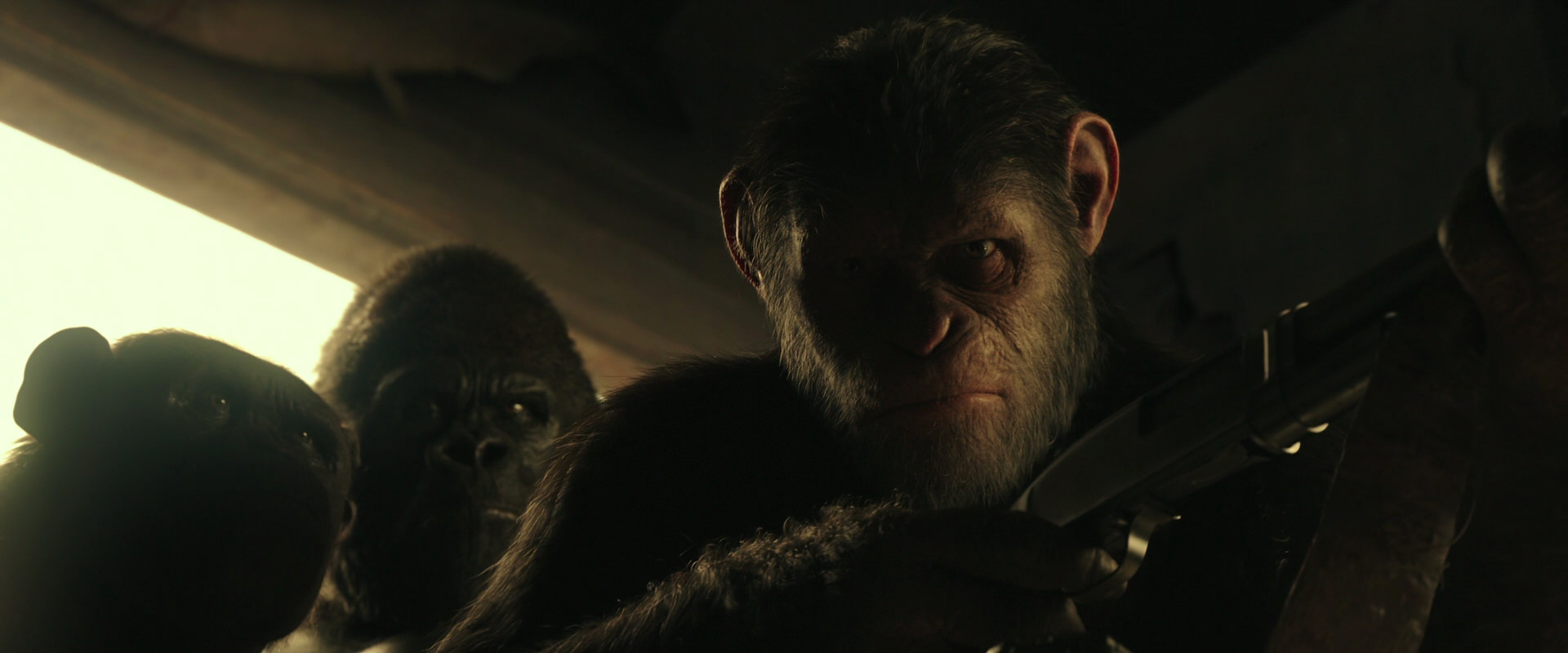 War for the Planet of the Apes (2017) HD screenshot 3410