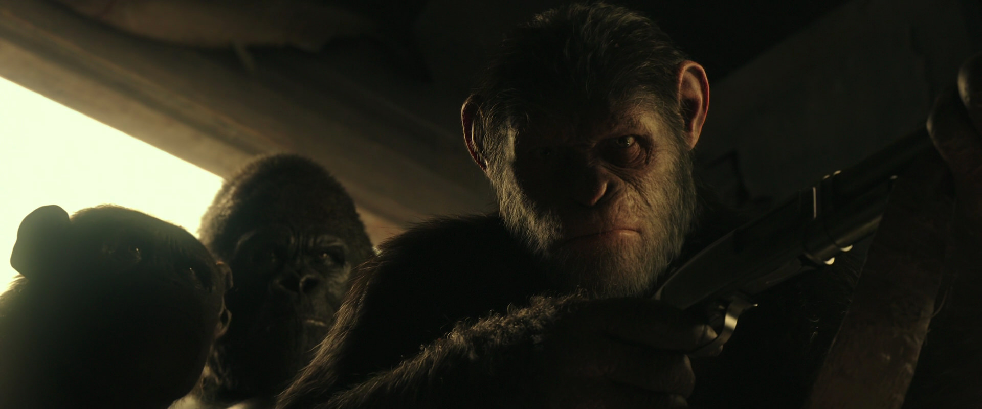 War for the Planet of the Apes (2017) screencap 3411