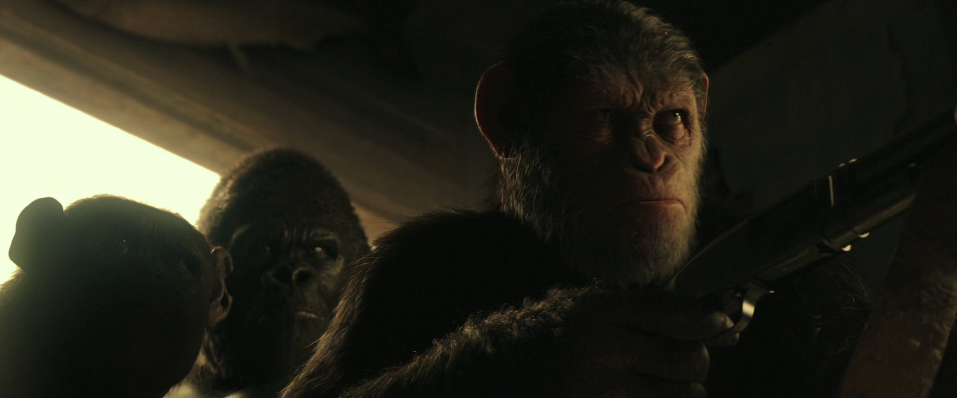 War for the Planet of the Apes (2017) HD screenshot 3413