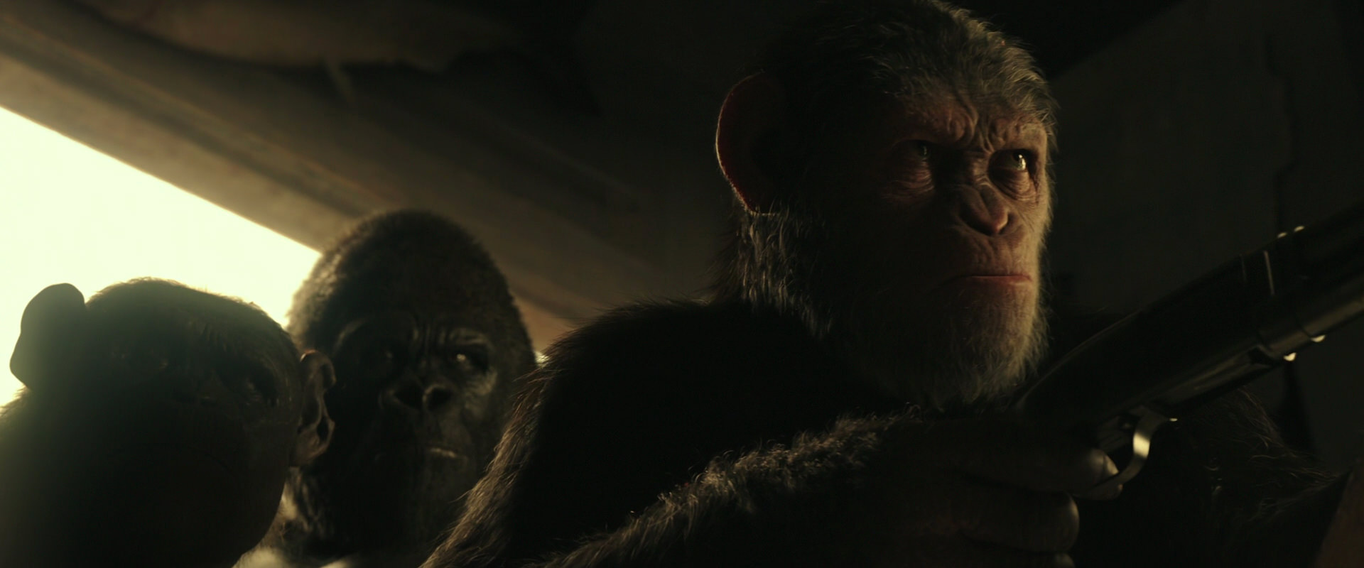 War for the Planet of the Apes (2017) screencap 3414