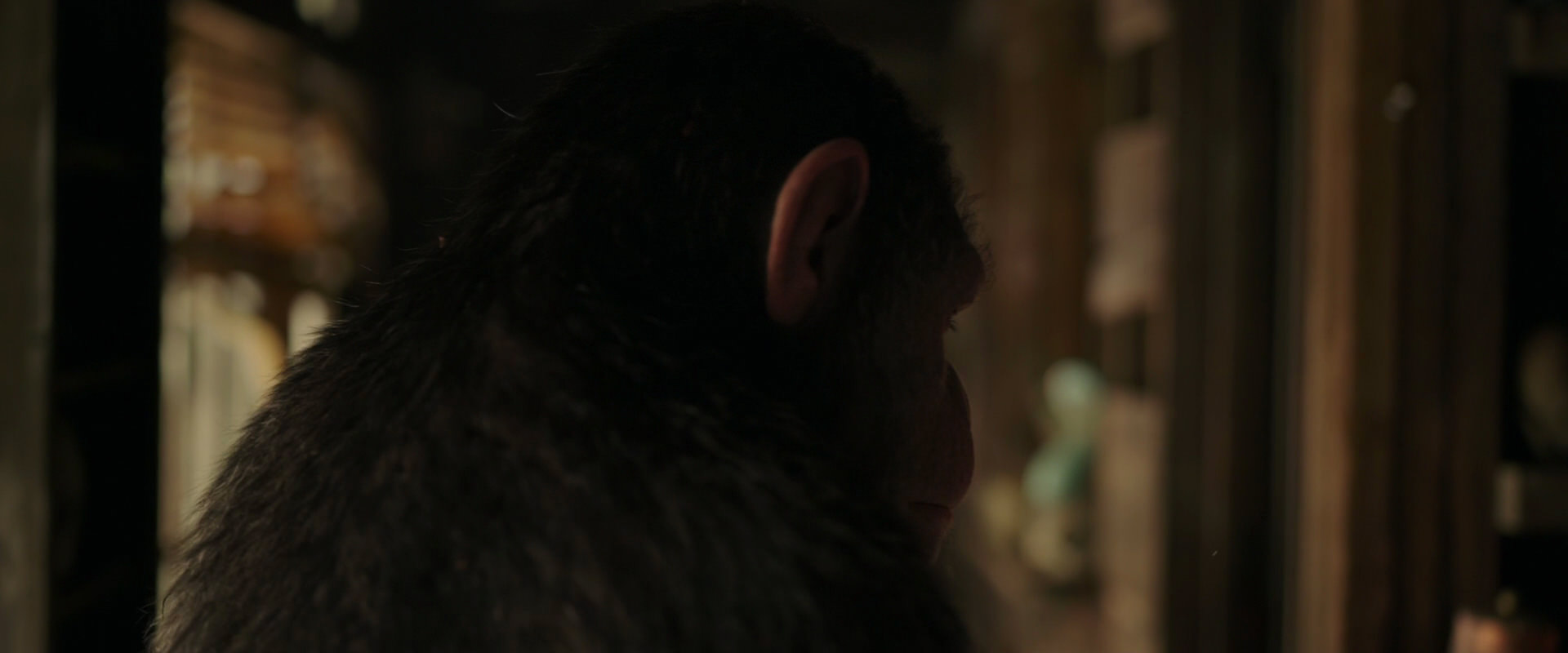 War for the Planet of the Apes (2017) screencap 3426