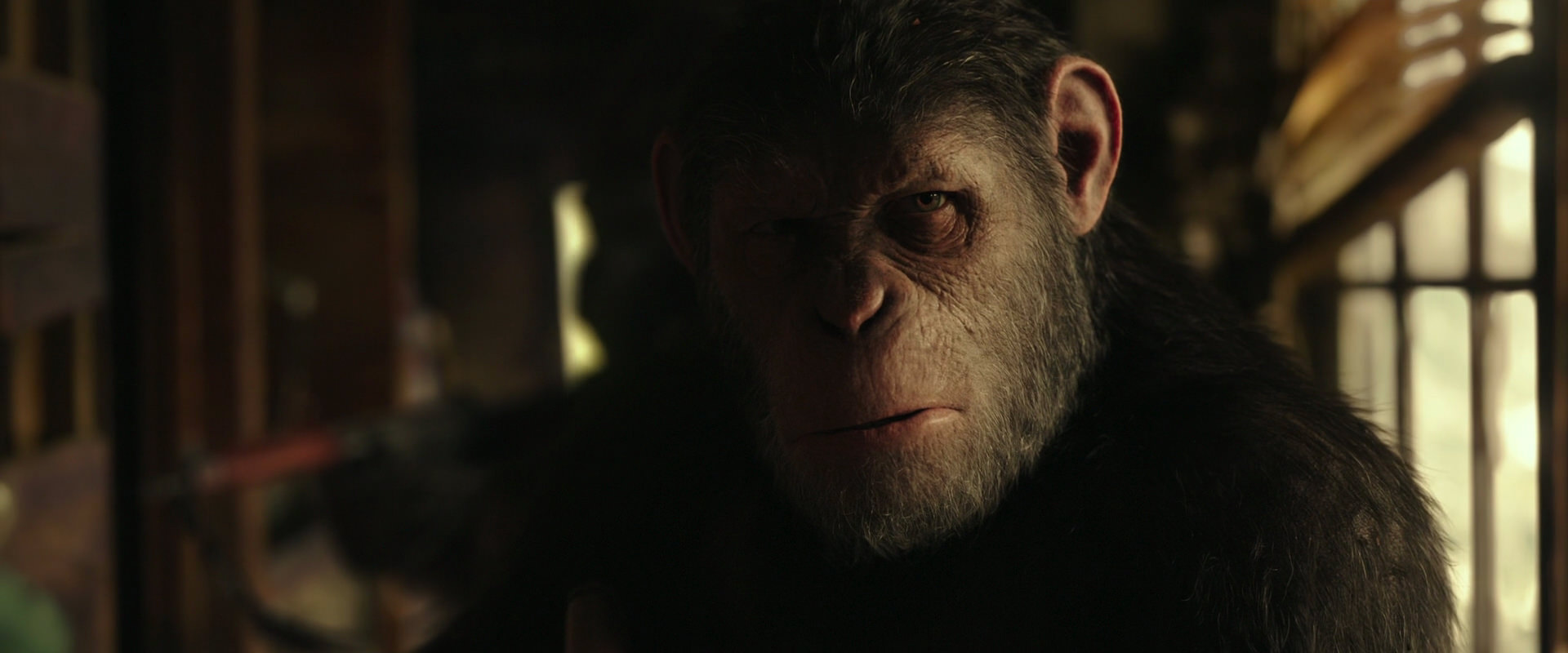 War for the Planet of the Apes (2017) screencap 3450