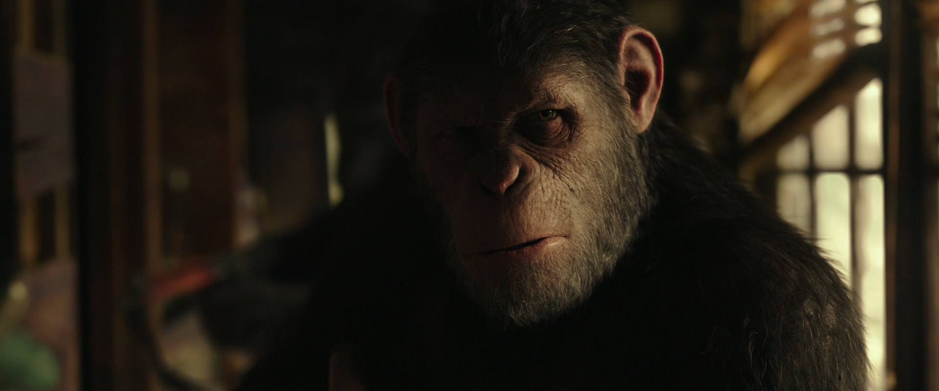 War for the Planet of the Apes (2017) movie still 3451