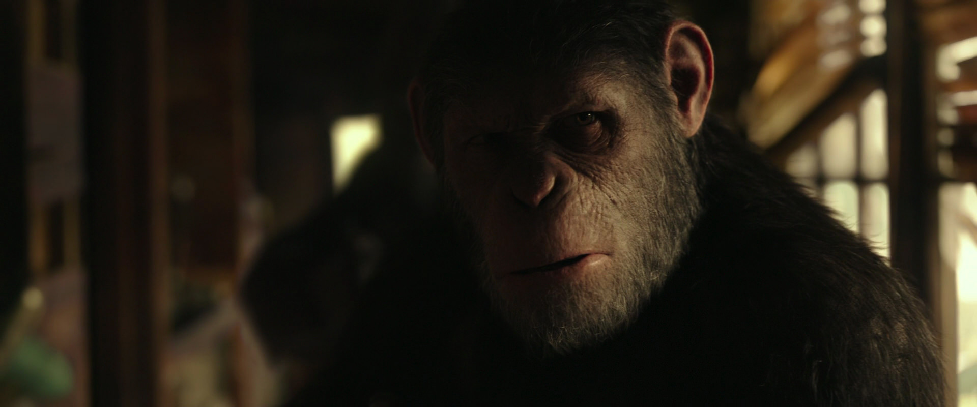 War for the Planet of the Apes (2017) HD screenshot 3452