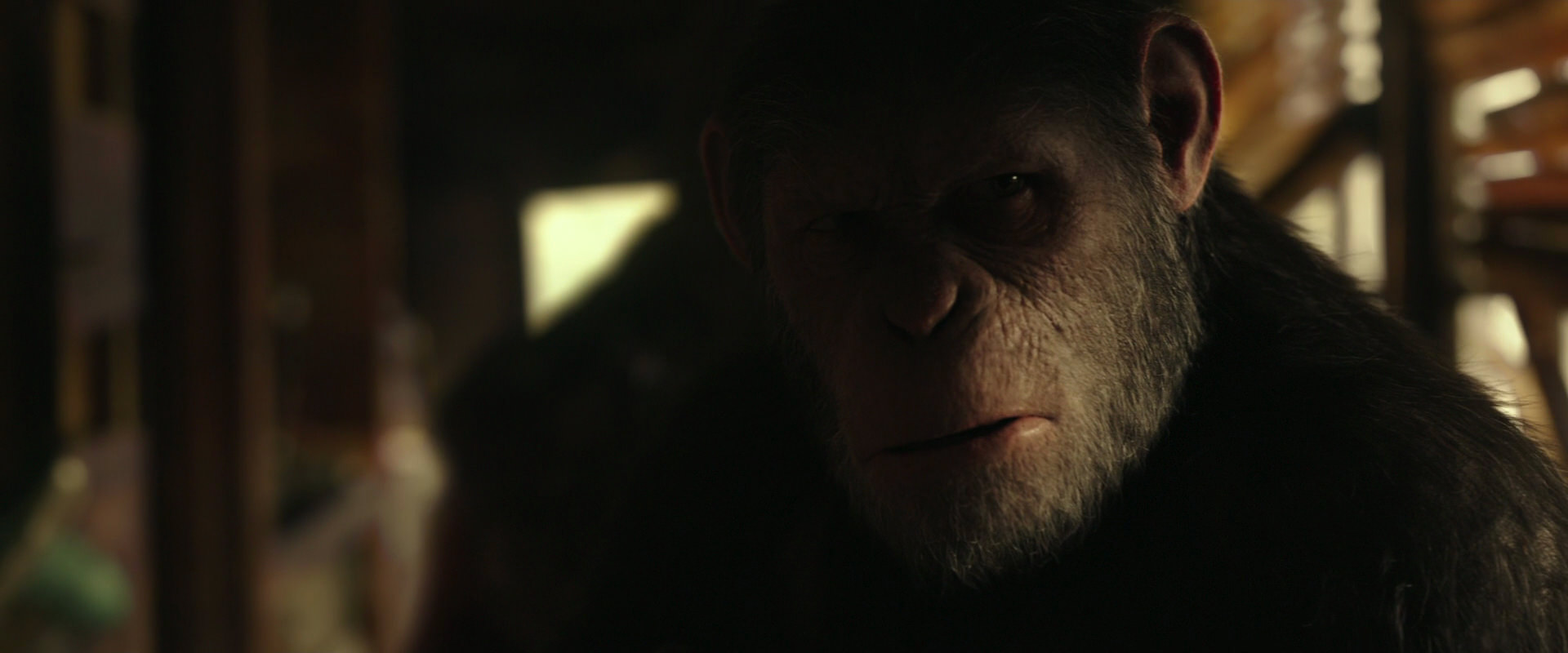 War for the Planet of the Apes (2017) screencap 3453