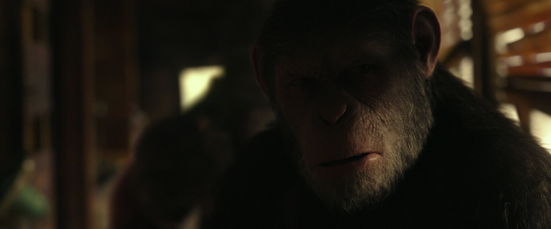 War for the Planet of the Apes (2017) movie still 3454