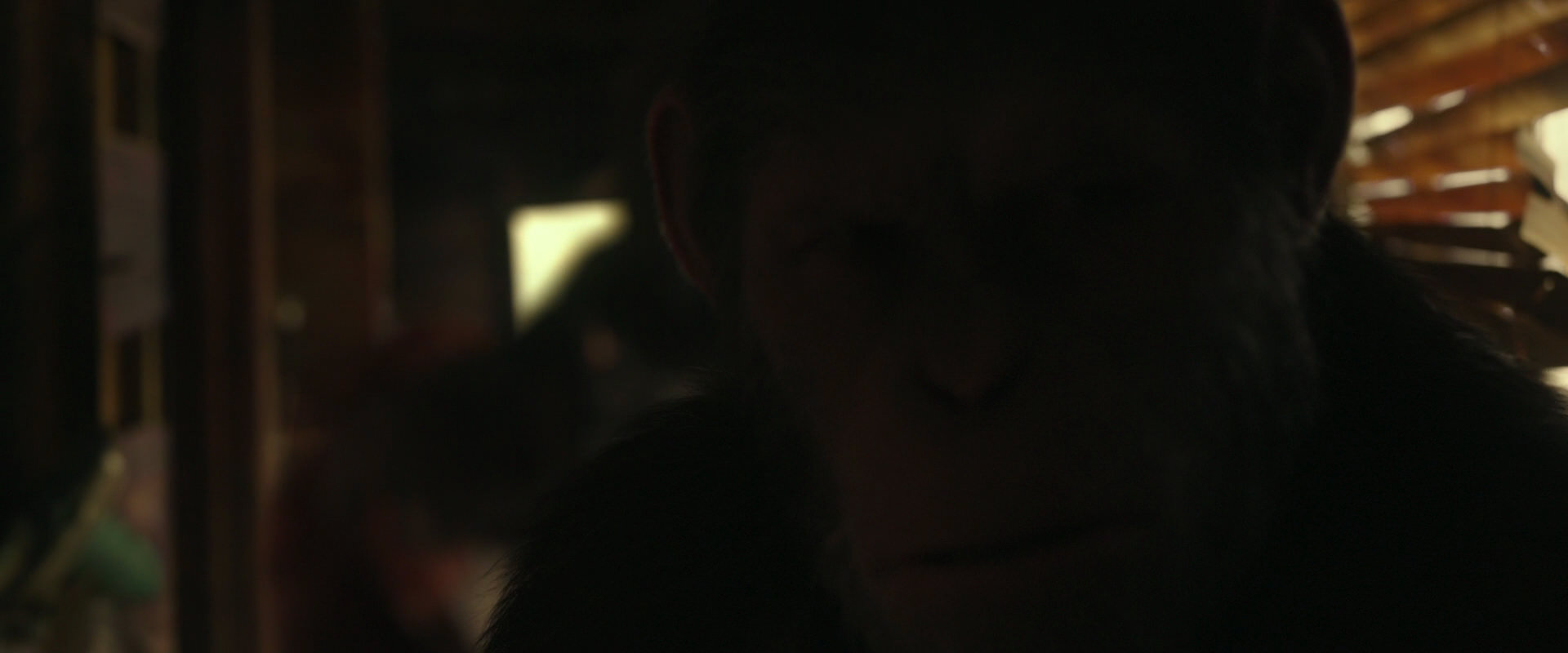 War for the Planet of the Apes (2017) screencap 3456