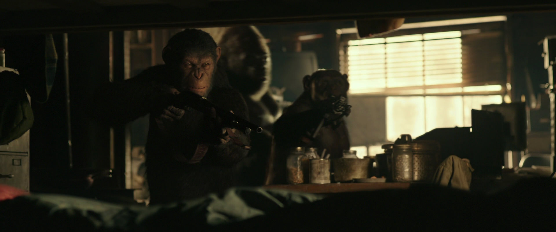War for the Planet of the Apes (2017) screencap 3465