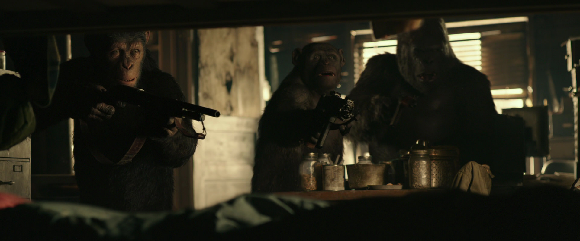 War for the Planet of the Apes (2017) screencap 3468