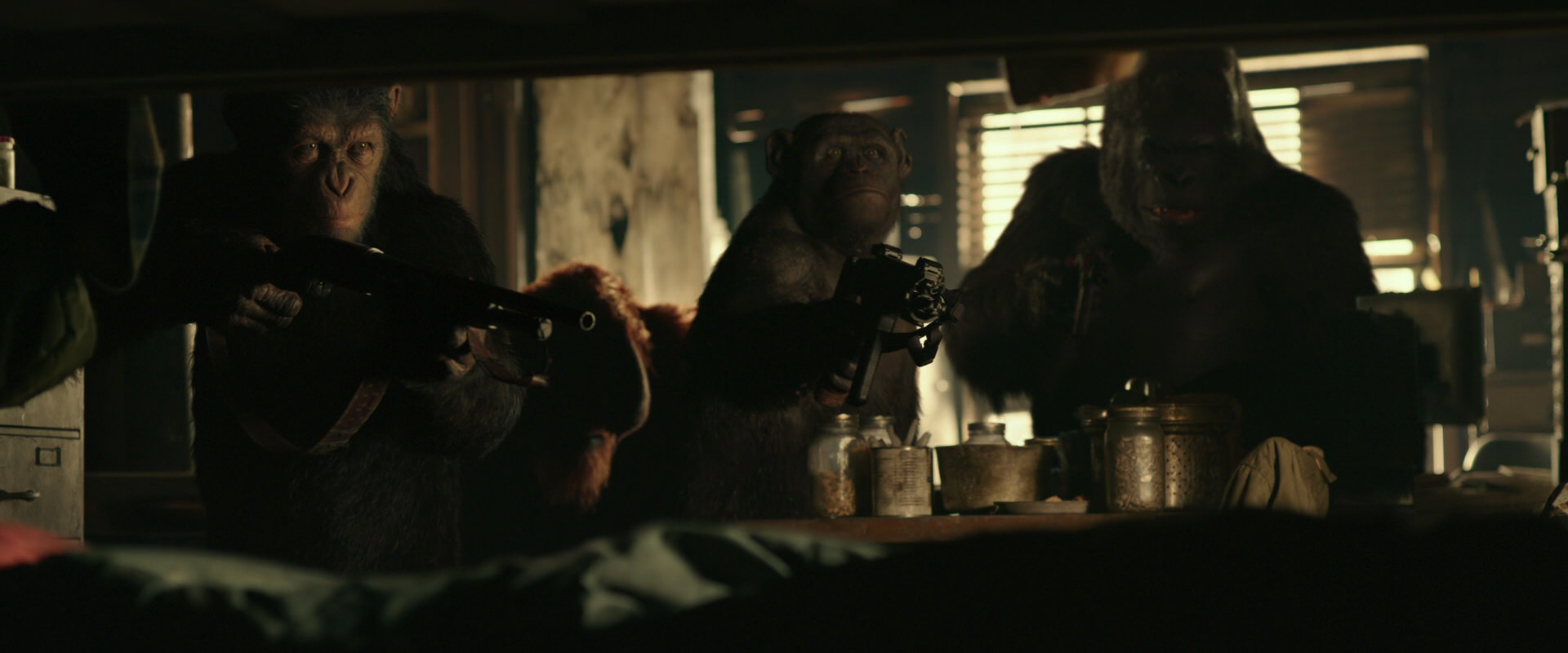 War for the Planet of the Apes (2017) screencap 3471