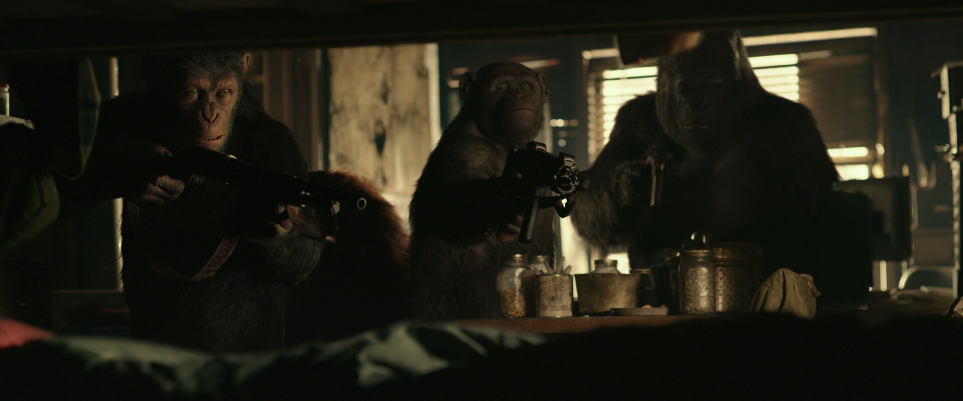 War for the Planet of the Apes (2017) screencap 3474