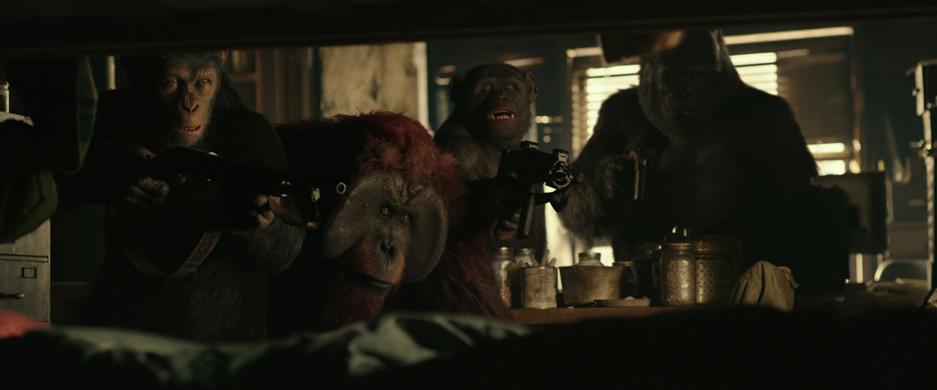 War for the Planet of the Apes (2017) screencap 3480