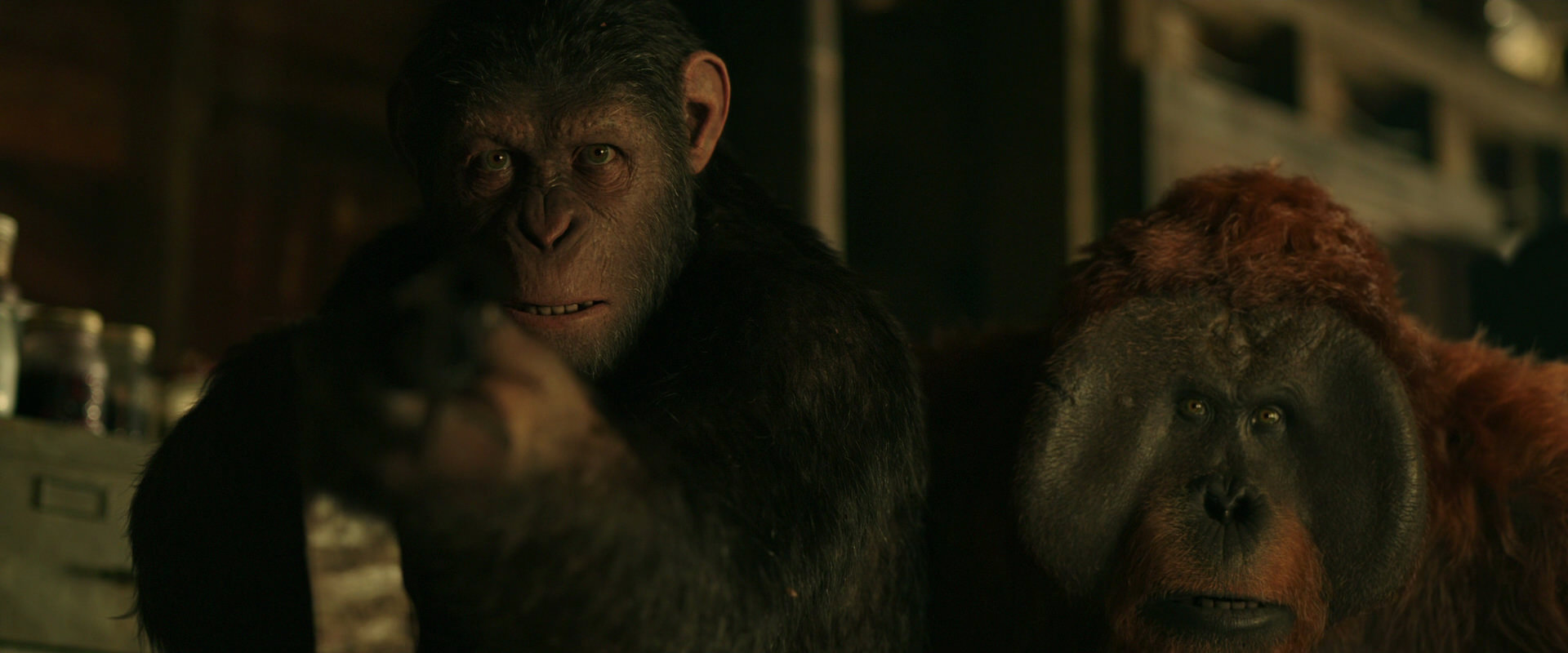 War for the Planet of the Apes (2017) movie still 3487