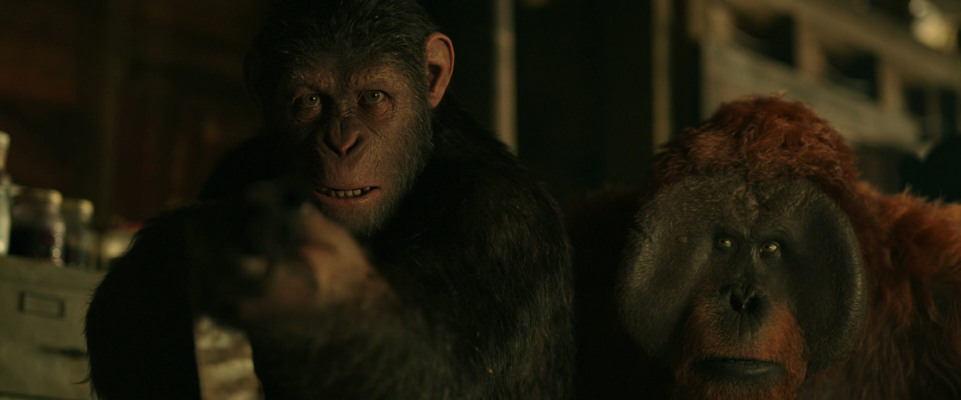 War for the Planet of the Apes (2017) HD screenshot 3488
