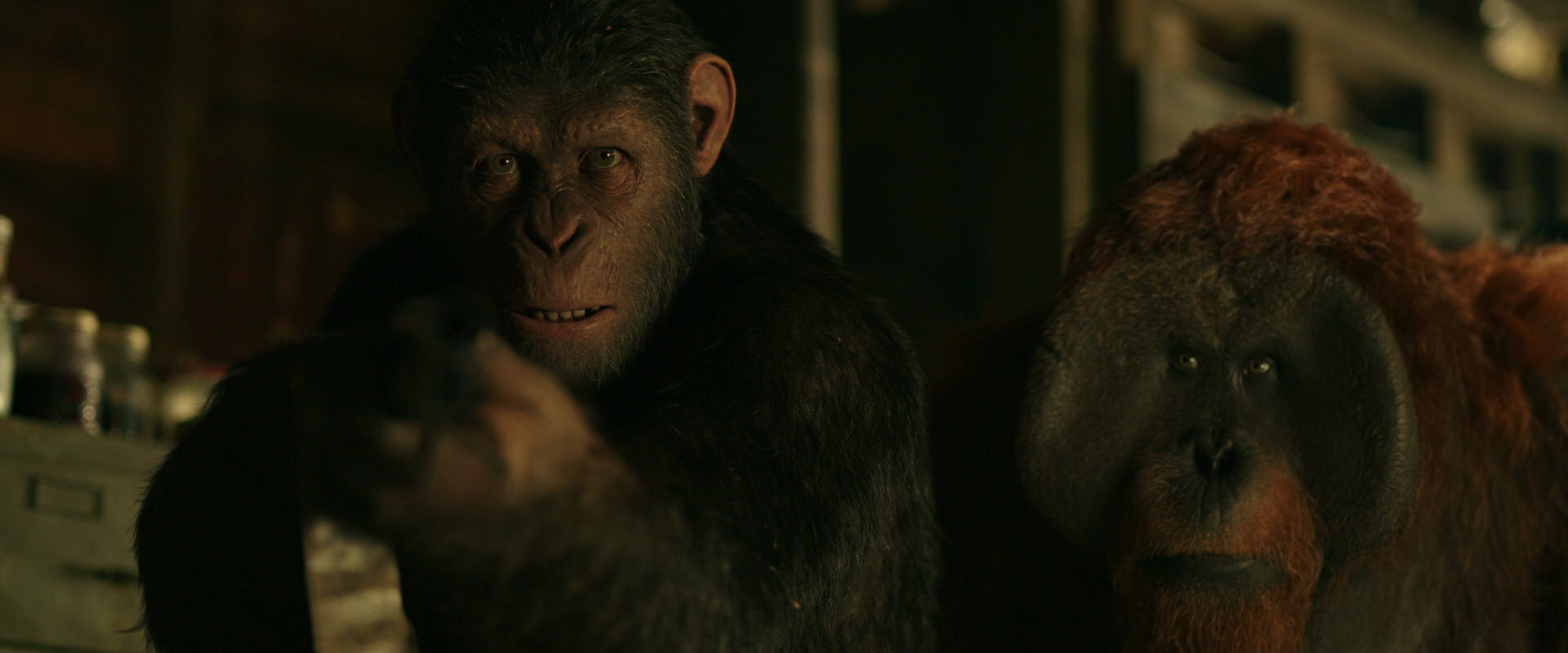 War for the Planet of the Apes (2017) screencap 3489