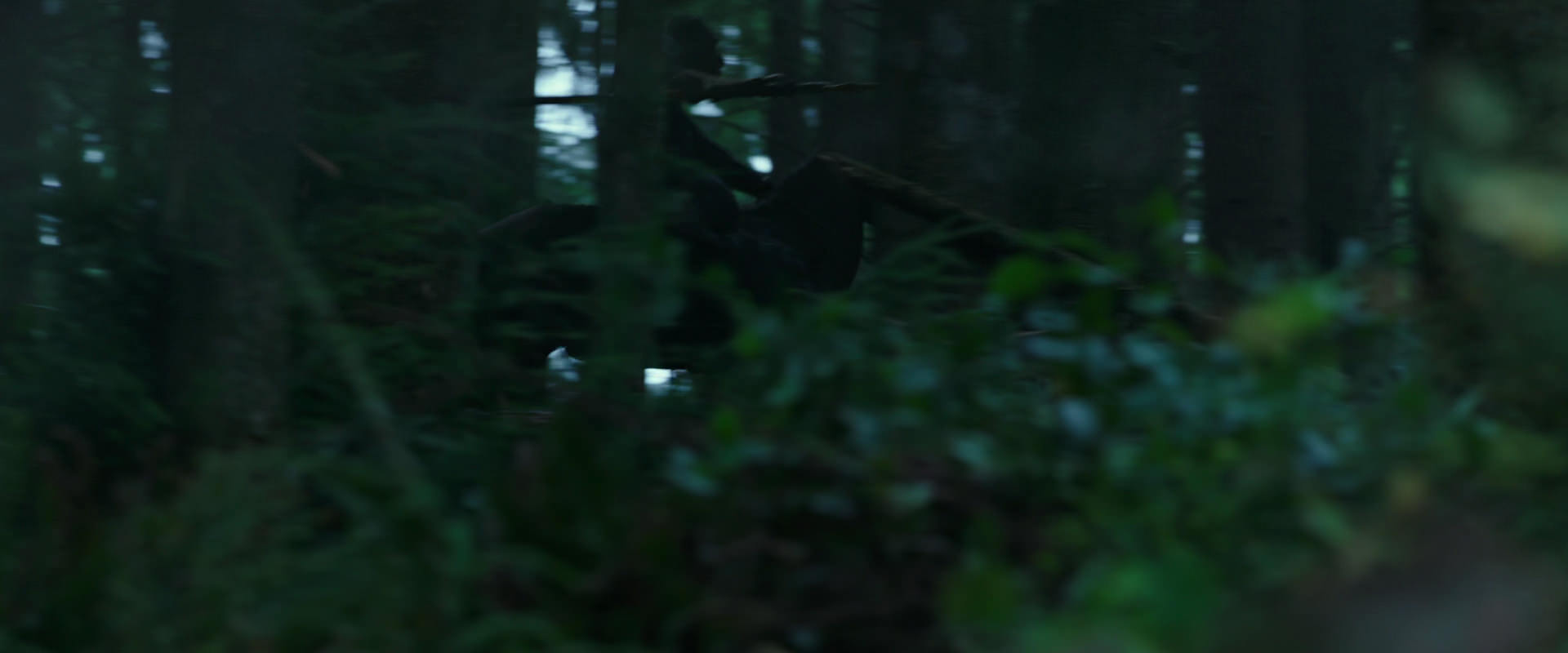 War for the Planet of the Apes (2017) movie still 349