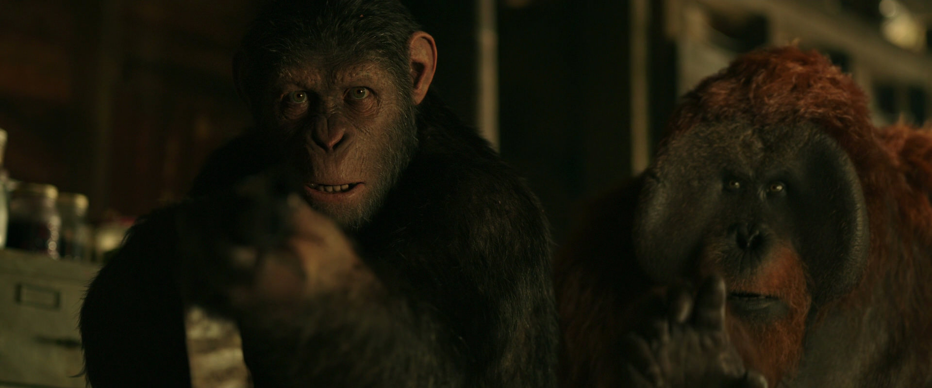 War for the Planet of the Apes (2017) movie still 3490