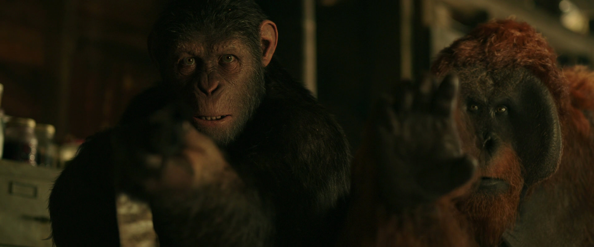 War for the Planet of the Apes (2017) HD screenshot 3491