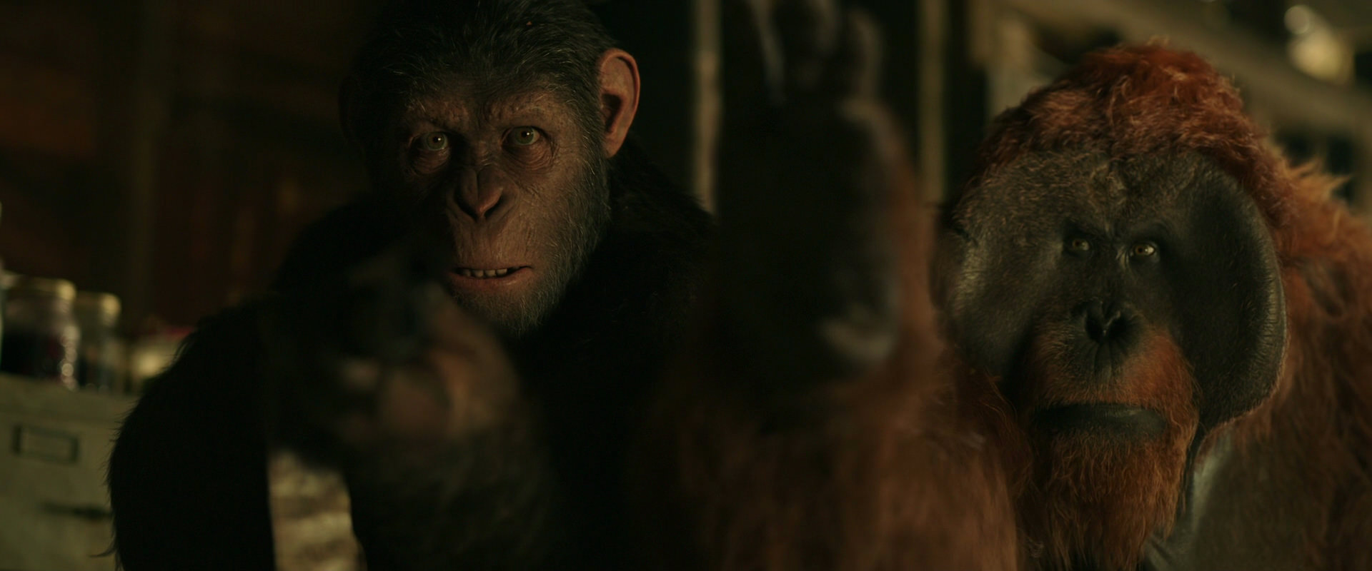 War for the Planet of the Apes (2017) screencap 3492