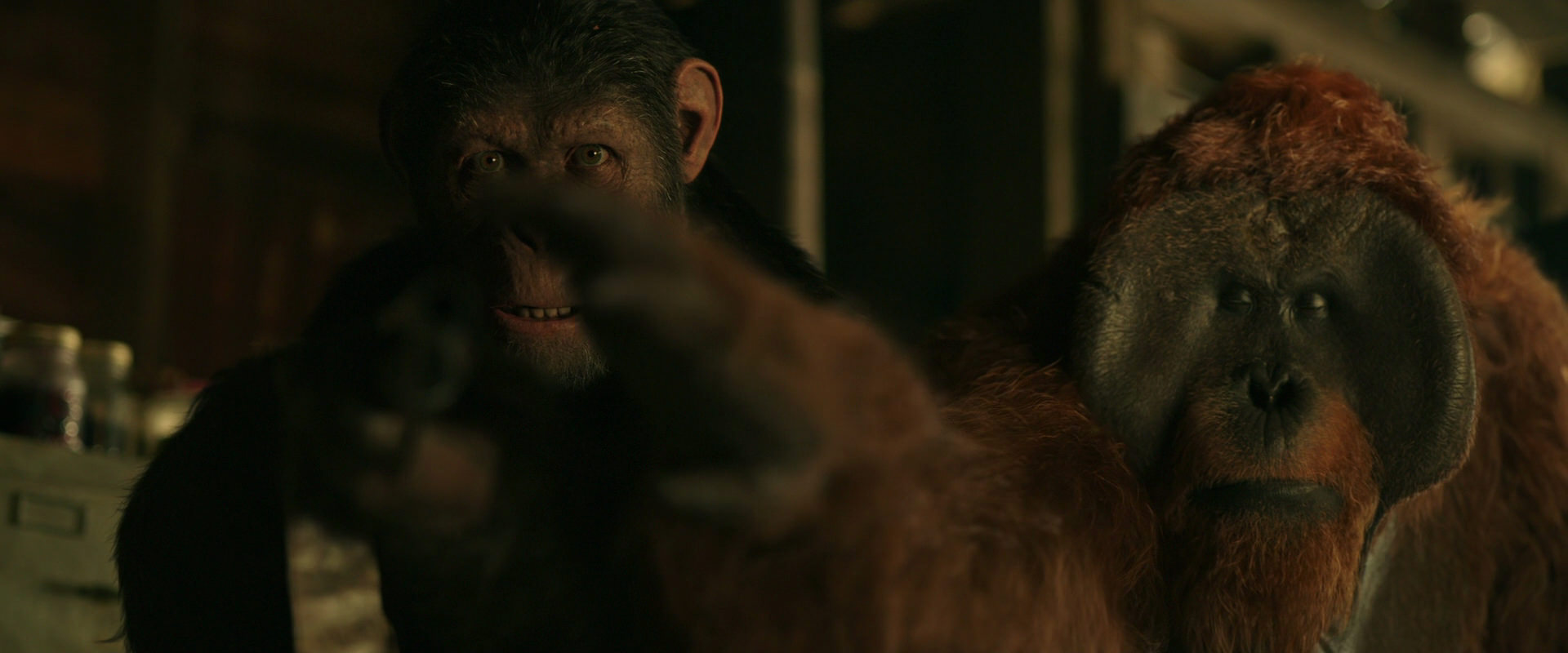 War for the Planet of the Apes (2017) movie still 3493