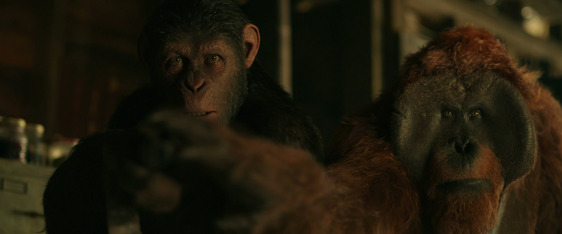 War for the Planet of the Apes (2017) HD screenshot 3494