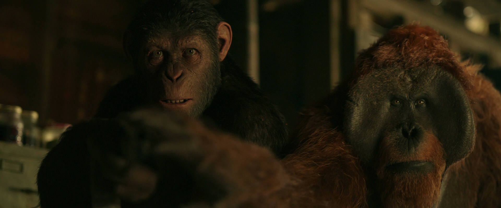 War for the Planet of the Apes (2017) screencap 3495