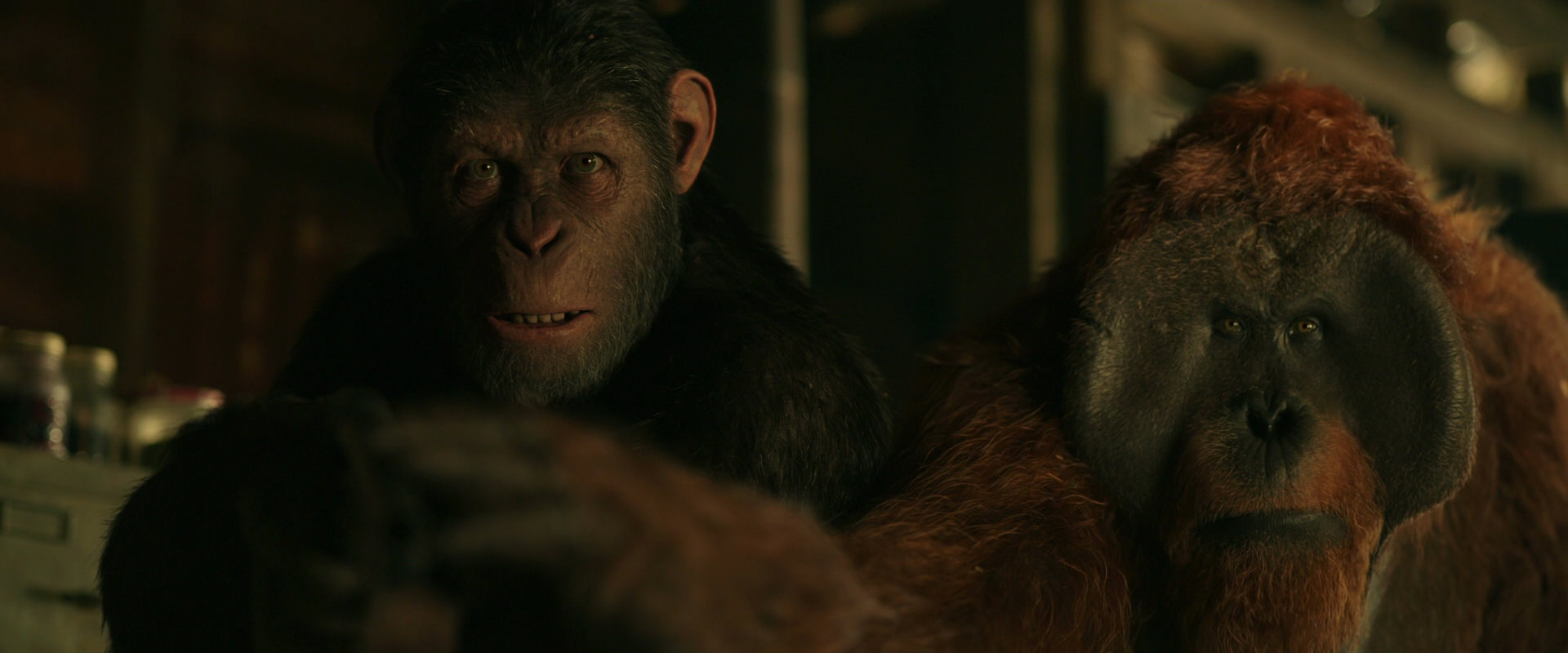 War for the Planet of the Apes (2017) movie still 3496