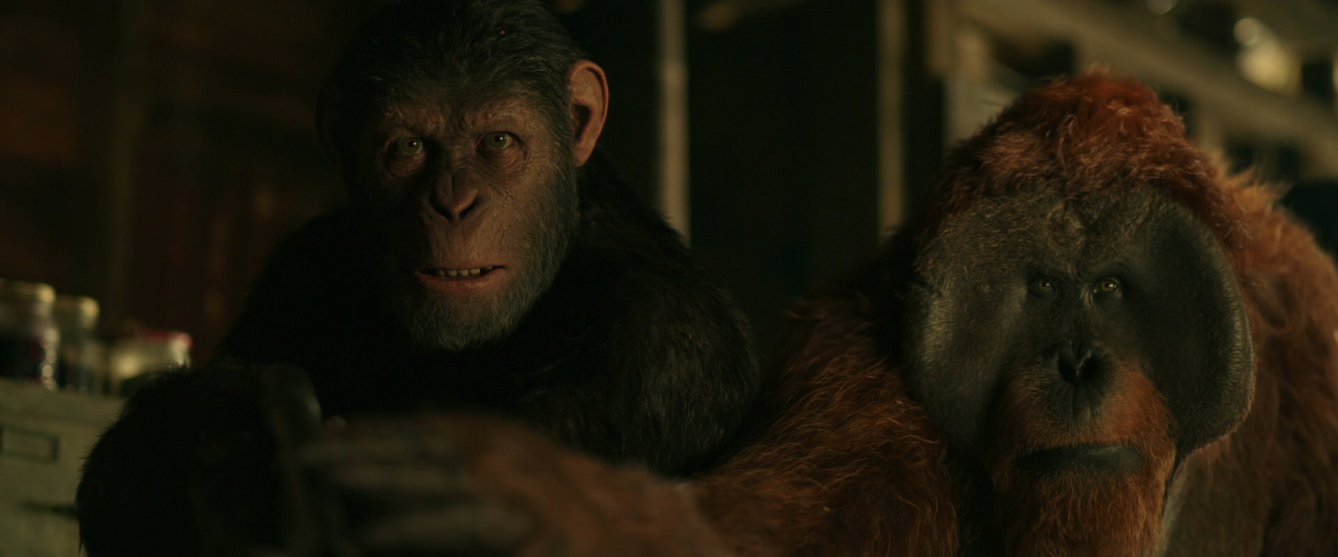 War for the Planet of the Apes (2017) HD screenshot 3497