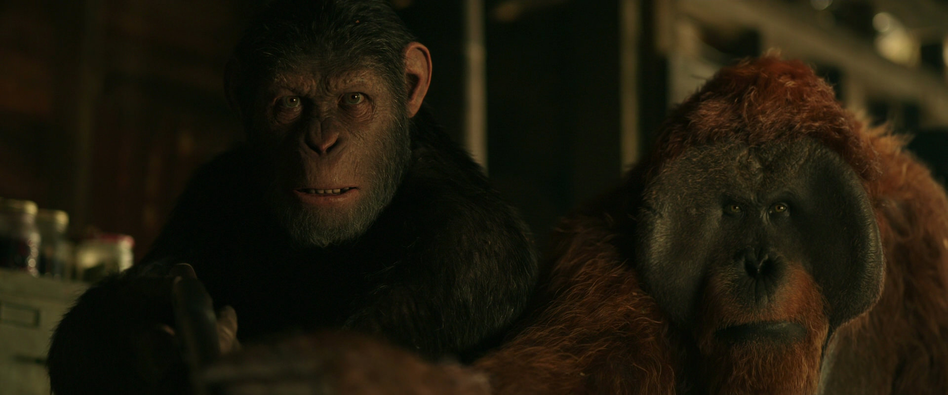 War for the Planet of the Apes (2017) screencap 3498