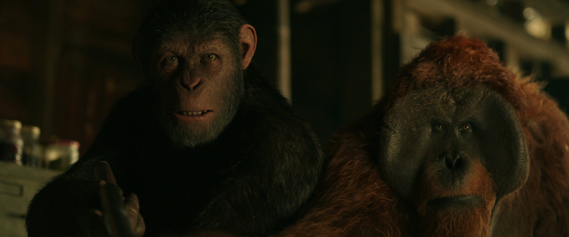 War for the Planet of the Apes (2017) movie still 3499