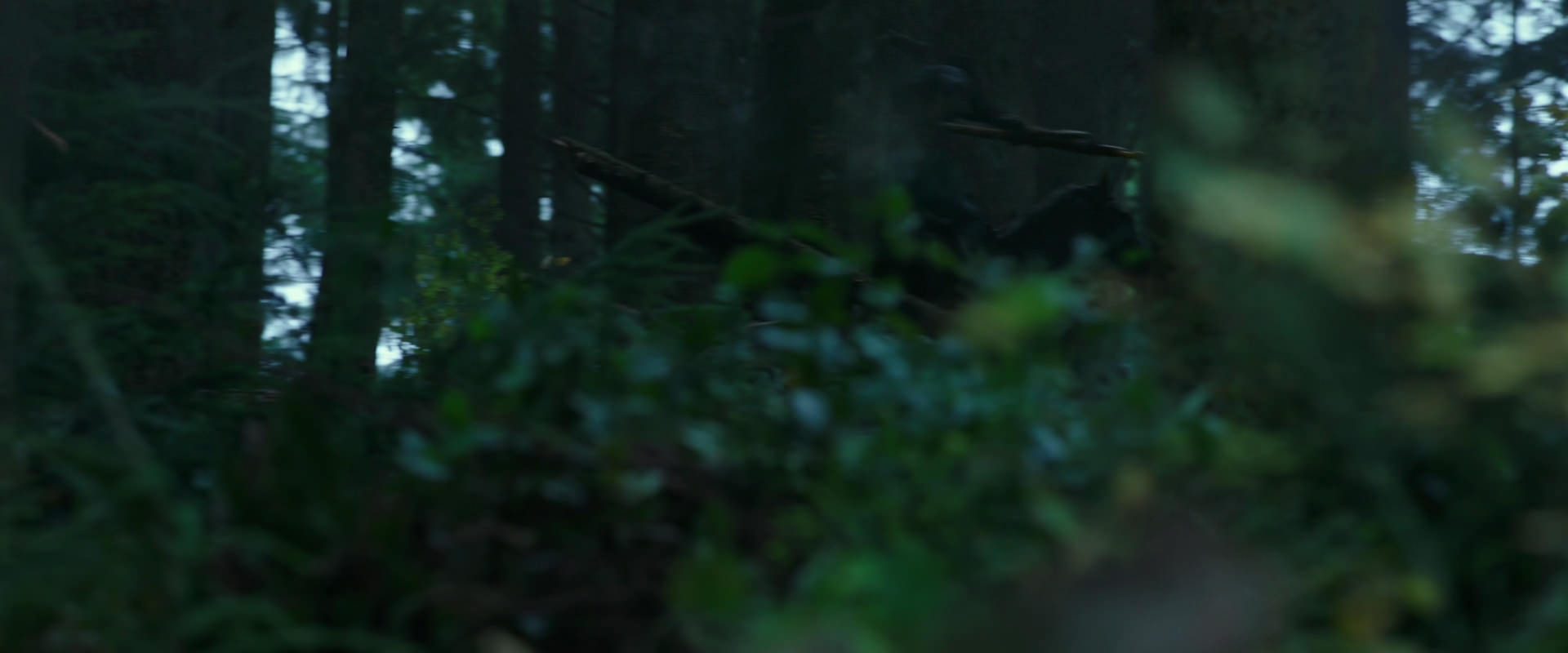 War for the Planet of the Apes (2017) HD screenshot 350