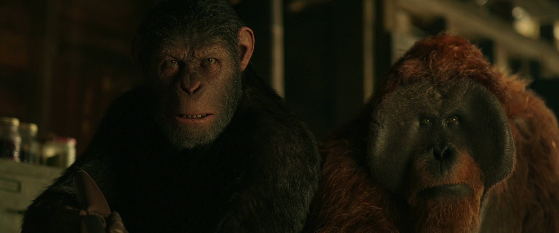 War for the Planet of the Apes (2017) movie still 3502