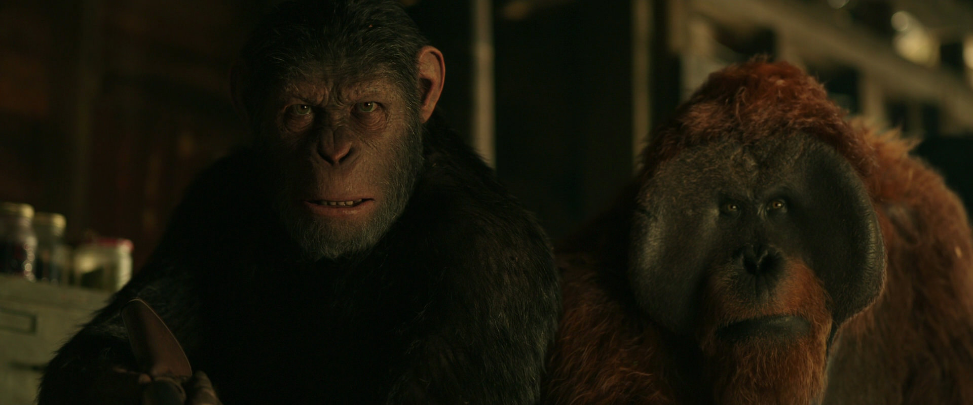War for the Planet of the Apes (2017) HD screenshot 3503