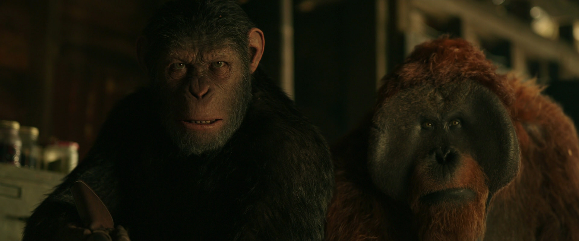 War for the Planet of the Apes (2017) screencap 3504