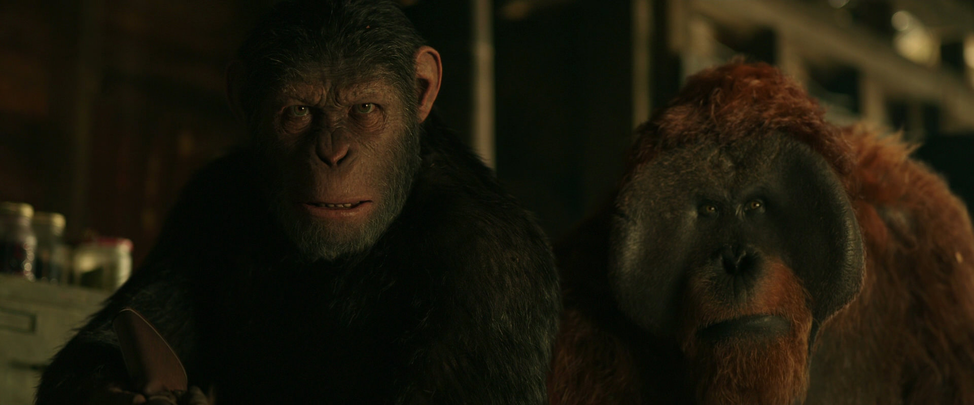 War for the Planet of the Apes (2017) movie still 3505