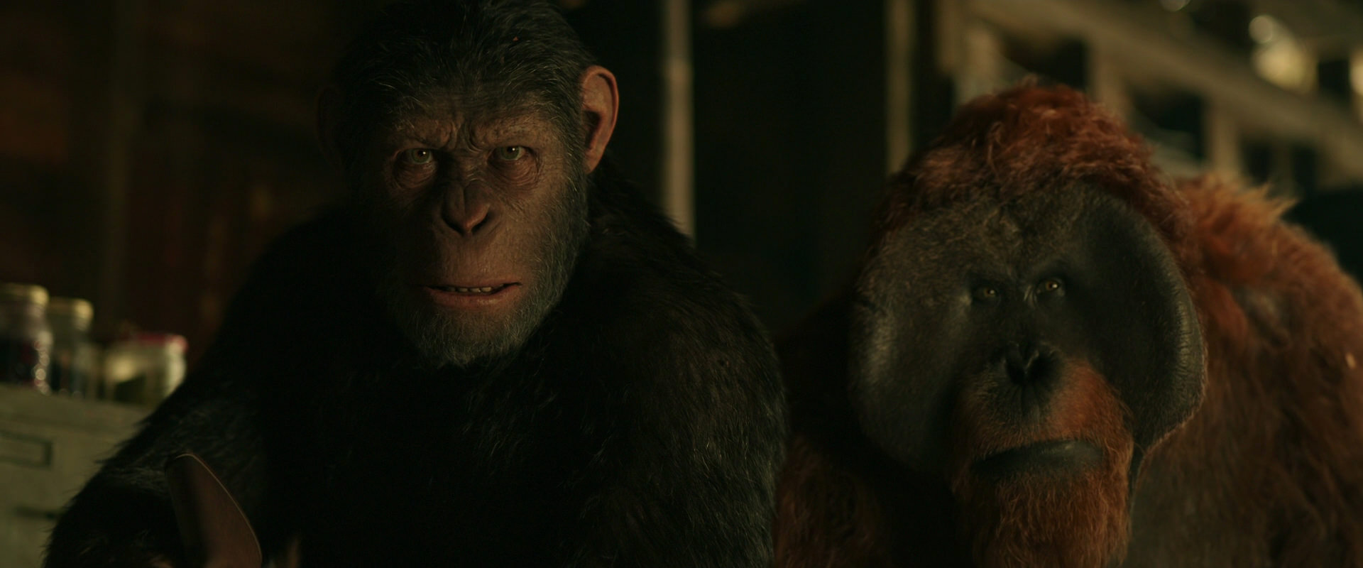 War for the Planet of the Apes (2017) HD screenshot 3506
